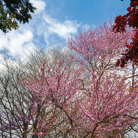 Daire Casa Del Borgo 