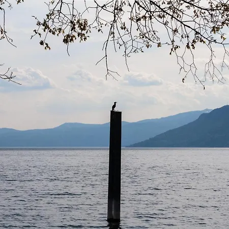 Daire Casa Del Borgo 