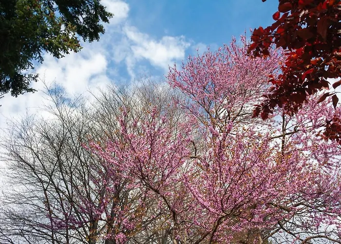 アパート Casa Del Borgo 