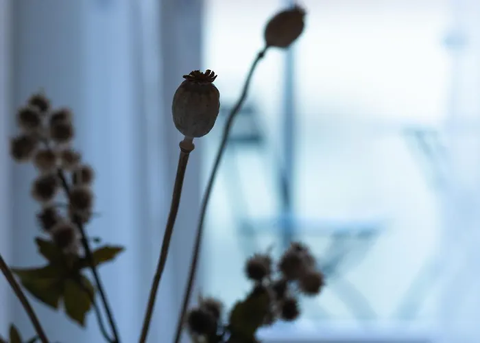 Апартаменты Casa Del Borgo 